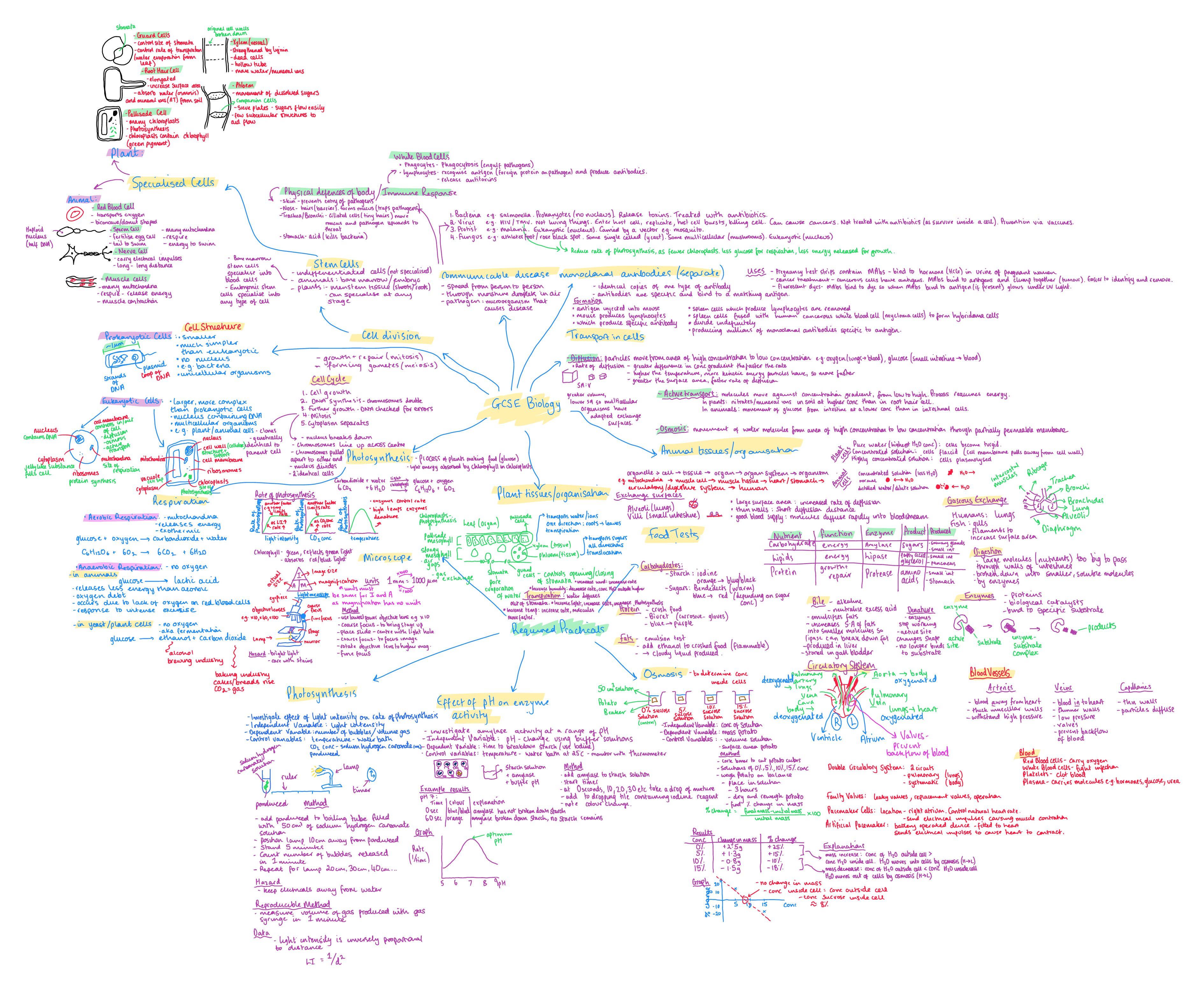 GCSE Biology Mind Maps